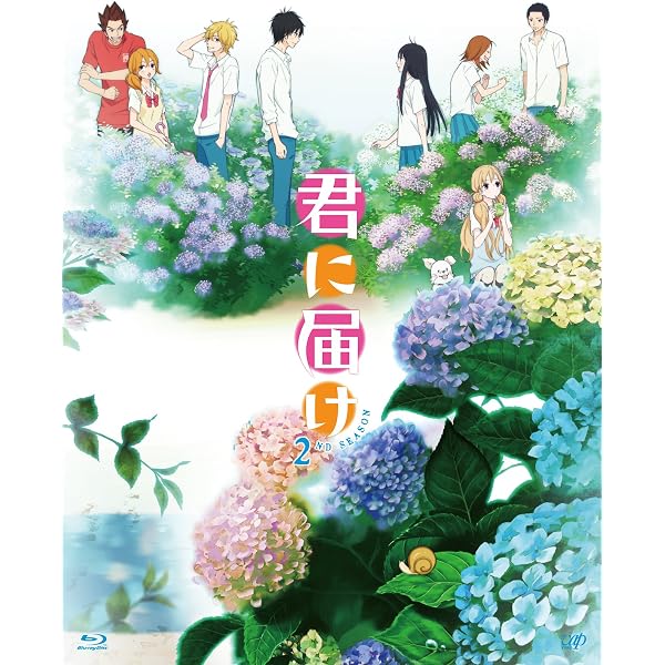 Amazon.com: Kimi ni Todoke 1st Season Blu-ray Box [Blu-ray